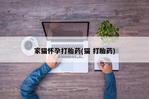 正品打胎药私人微信家猫怀孕打胎药(猫 打胎药)